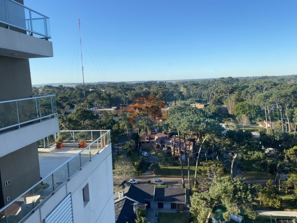 APARTAMENTO UN DORMITORIO. VISTA A MANSA