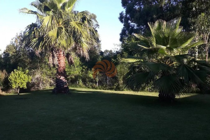 Casa de 4 dormitorios en Laguna del Diario, Playa Mansa. Venta y alquiler temporal